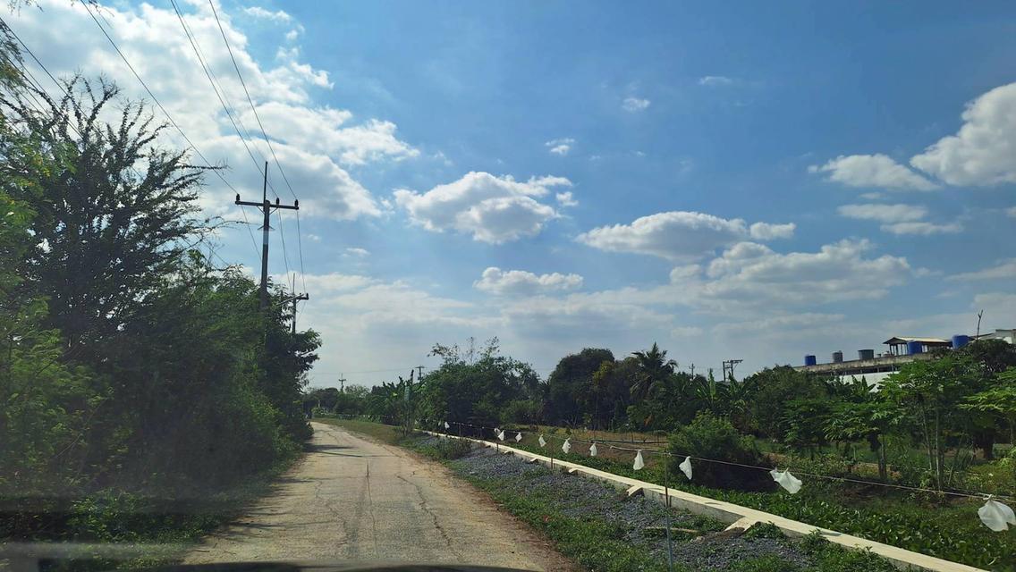 🔥 ปล่อยเช่า / ขาย ที่ดินพร้อมโกดัง ทำเลดี จ.นครปฐม 🔥 พื้นที่ใหญ่ 4 ไร่กว่า รองรับธุรกิจได้หลากหลาย 8