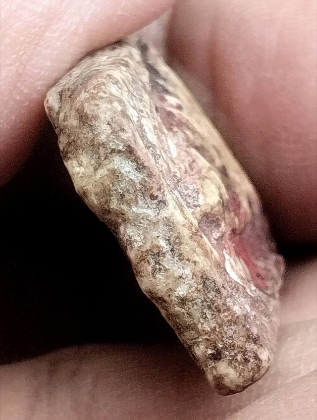 สมเด็จบางขุนพรหมพิมพ์สังฆาฏิมีหู รูปที่ 5