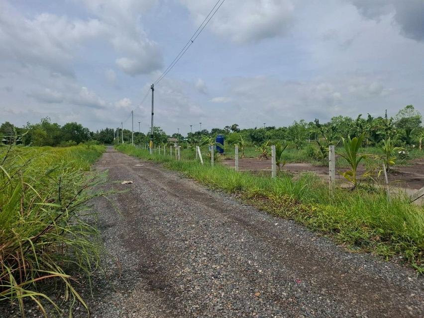 ขายที่ดินคลอง 11ซอยปลายนาร่วมฤดี 1 ใกล้วัดป่าคลอง11 หนองเสือ ปทุมธานี 4