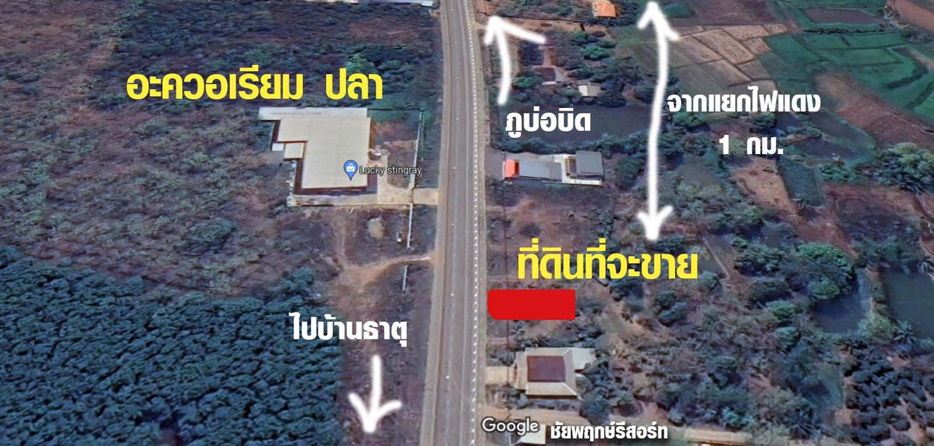 ที่ดินจังหวัดเลย ใกล้ตัวเมือง ติด 4 เลน ใกล้ศูนย์ราชการ 2