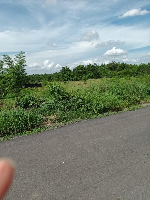 ขายที่ดินเขาหินซ้อน อำเภอพนมสารคาม ฉะเชิงเทรา 6