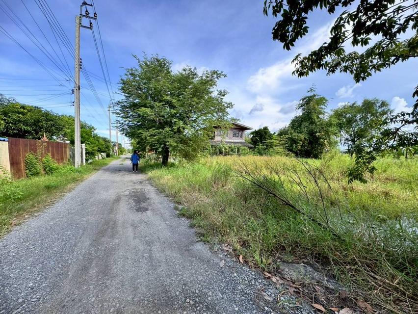 ขายที่ดิน 200 ตารางวา ถ.ประชาสำราญ เข้าซอยเพียง 350 เมตร (N.1862) 3