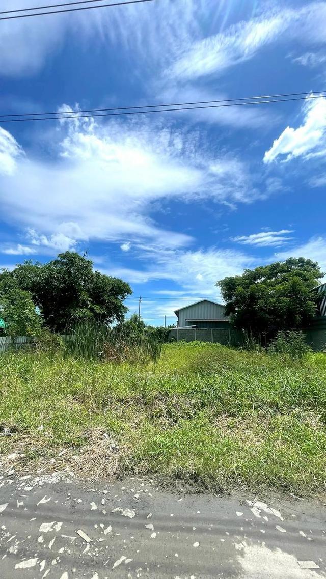 ขายที่ดินร่มเกล้า (ซอยร่มเกล้า 17 แยก 6) 2