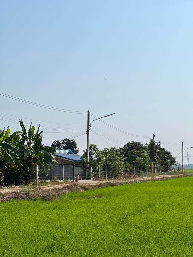 ขายที่ดิน 60 ไร่ ตำบลบึงบอน อำเภอหนองเสือ จังหวัดปทุมธานี 1,555,555 บาท/ไร่ 8