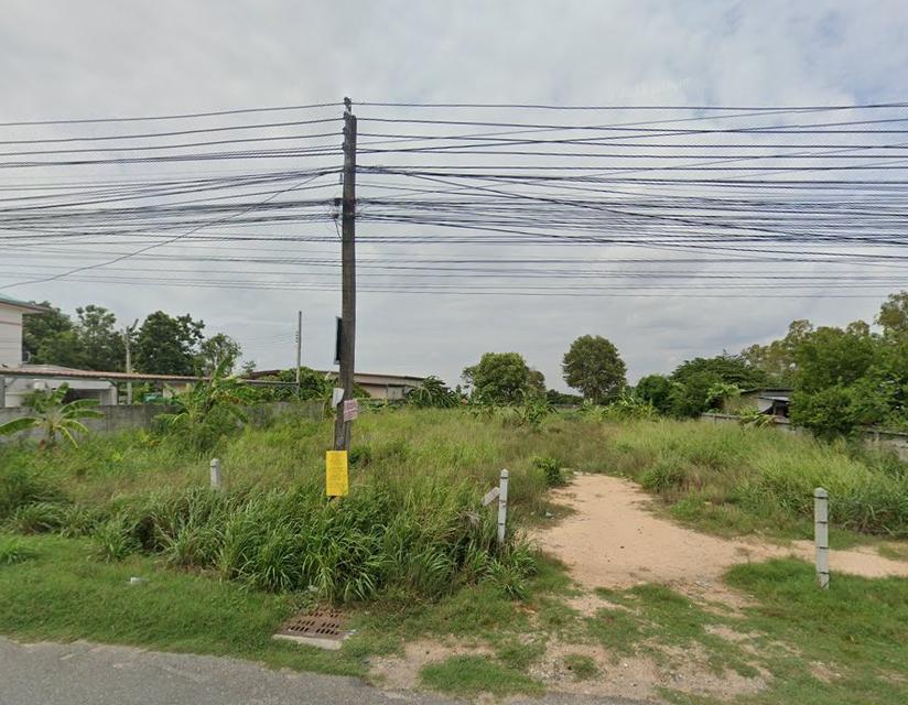 ขายที่ดินหนองปรือ พัทยา 391 ตรว. ซอยเขาตาโล9 ใกล้ถนนสุขุมวิท3-2.8กม. บางละมุง ชลบุรี 3
