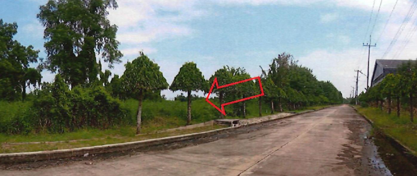 ขายที่ดิน ภายในโครงการสหโชควัฒนา เนื้อที่ 12 ไร่ อ.บางน้ำเปรี้ยว จ.ฉะเชิงเทรา