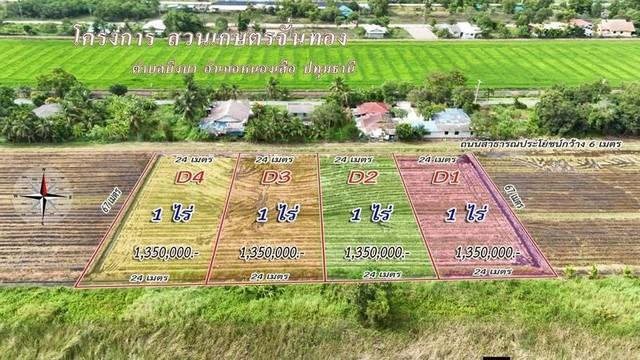 ที่ดินแนวบ้านสวนวิวนาราคาเบาสดผ่อนได้ใกล้วัดป่าคลอง11 Tel 062-1574449 ที่ดิน ใกล้วัดป่าคลอง11 หนองเสือ ปทุมธานี 6