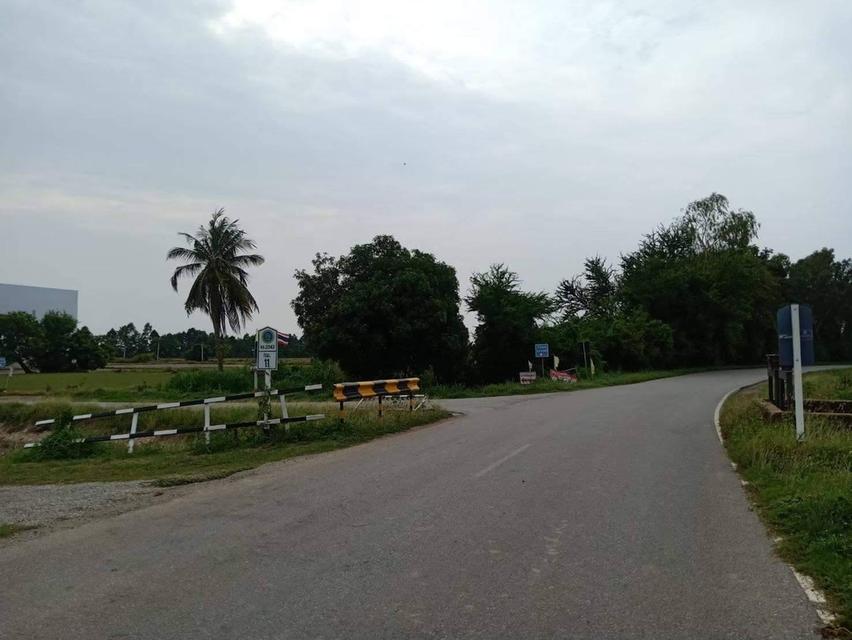 ขายที่ดิน 9.2 ไร่ พิษณุโลก ในเมือง 13
