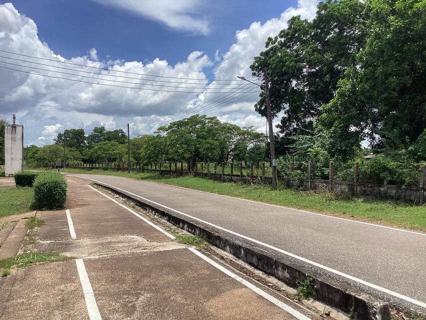 ให้เช่าที่ดืน13ไร่ใกล้สะพาน3ติดถนนเรียบโขงนครพนม 18