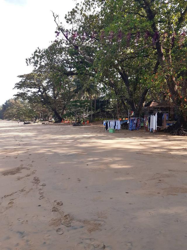 ที่ดินติดชายหาด เขาหลัก จ.พังงา 7