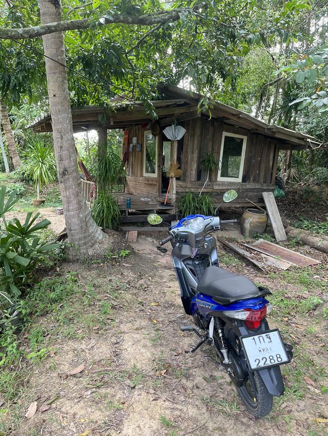 มอเตอร์ไซด์ฮอนด้าเวฟ110iปี2020 รูปที่ 2