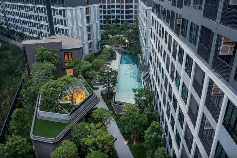 D Condo Hydeaway Rangsit (For Rent) 6