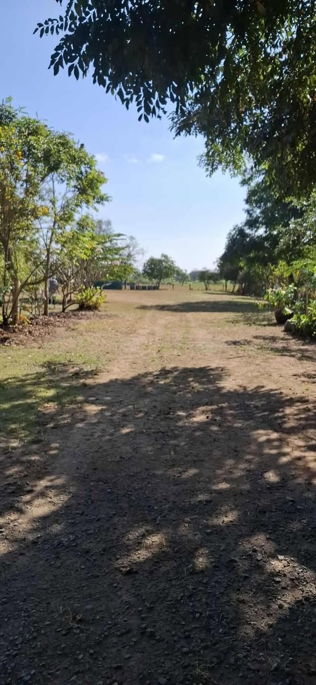 5 ไร่ ทางเข้าไทวัสดุ  โคราช บายพาส ปักธงชัย - จอหอ  9.8 ล้าน 17