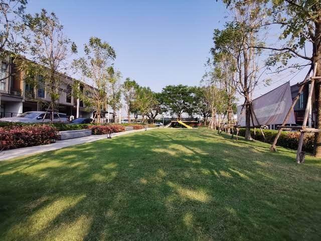 PB5755 ให้เช่าทาวน์เฮ้าส์ โครงการ เวิร์ฟ พระราม 9 ตกแต่งสวยสไตล์ Modern Loft พร้อมอยู่ บนที่สุดของทำเลถนนกรุงเทพกรีฑาตัดใหม่ 7