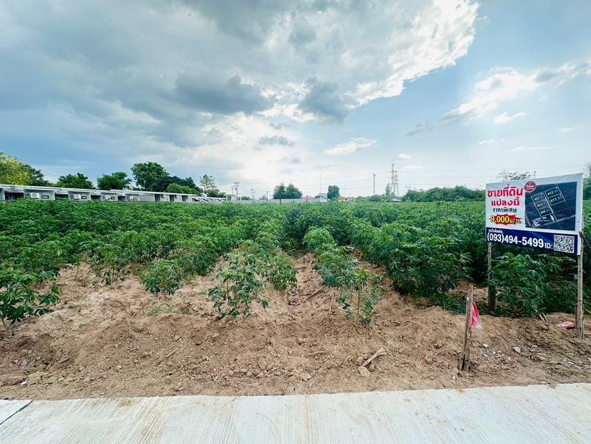 ข่าวดี.📢(9,000บ./วา) ในเมืองโคราชใกล้เซฟวัน  #ที่ดินจัดล็อค เฉลี่ย.(1 ไร่.ะ3.6 ล้าน) | หลังเจ้าสัวโคราช. | *น้ำไม่ท่วม. | ราคาถูกพิเศษ หายาก!! 2