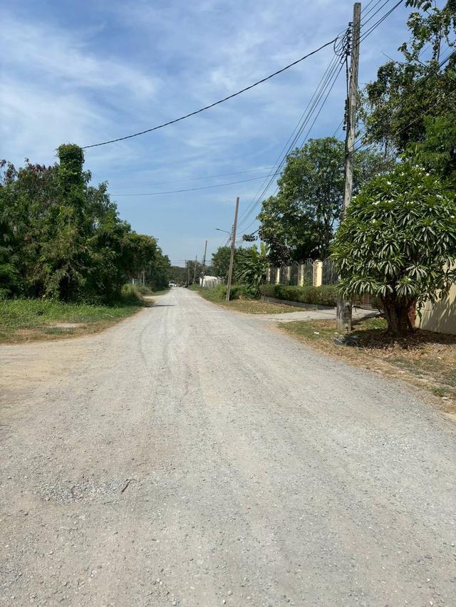 ขายที่ดินเปล่าเพื่อสร้างที่อยู่อาศัย 10