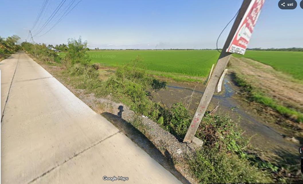 ขายที่ดินคลอง11 เนื้อที่121ไร่ 2