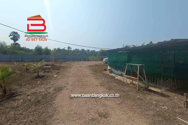 ที่ดินพร้อมสิ่งปลูกสร้าง เนื้อที่ 1 ไร่ ถนนเทศบาล 6/1 ตำบลบึงบา อำเภอหนองเสือ ปทุมธานี 5