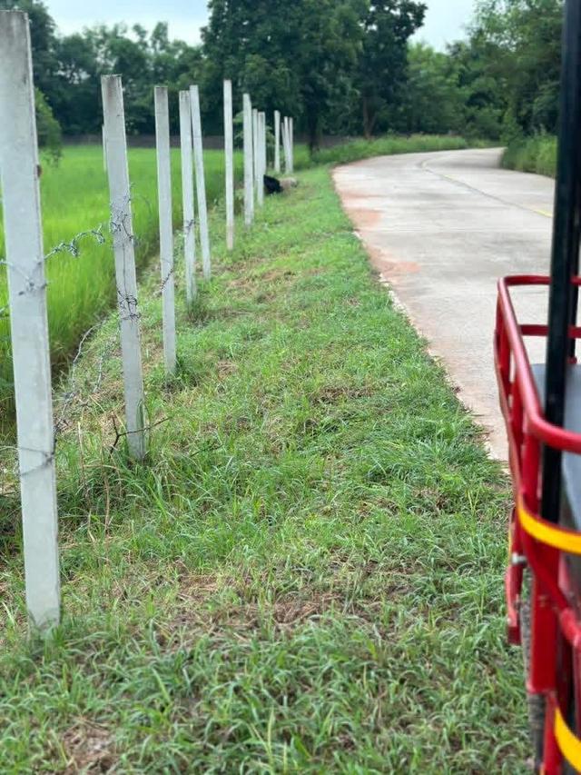 ขายที่ดิน 10 ไร่ ติดถนน หน้ากว้าง 70 เมตร 11