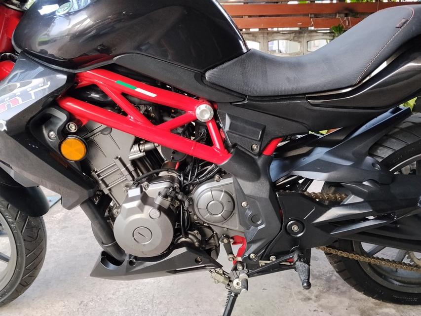 ลดราคา Benelli TNT300 ครับ รูปที่ 6