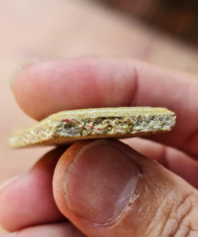 พระสมเด็จ วัดระฆัง พิมพ์ใหญ่ รูปที่ 4