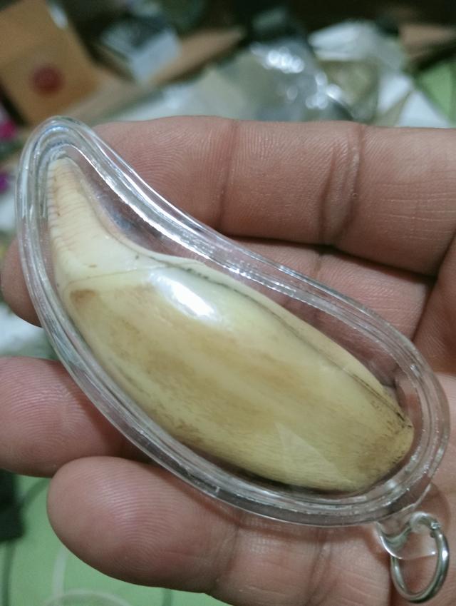 พระเครื่อง ไม่ทราบที่ รูปที่ 6