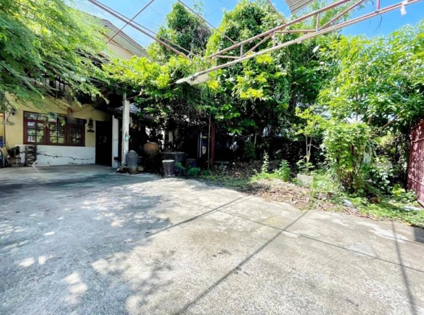 ขายด่วน บ้านเดี่ยว 1 หลัง + ห้องเช่า 6 ห้อง เหมาะทั้งอยู่อาศัยและลงทุน สร้างรายได้ทันที บนที่ดินขนาดใหญ่ 1