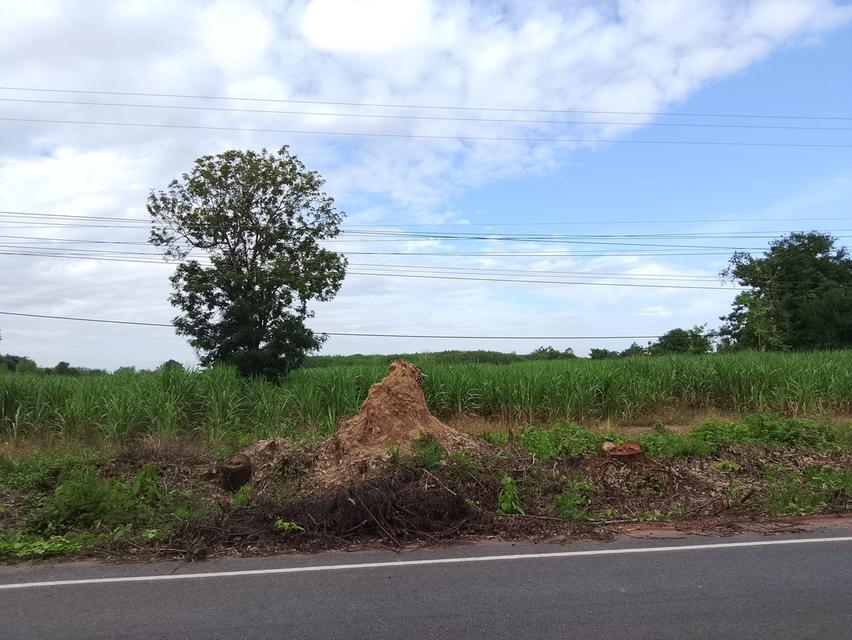 ขายที่ดิน 27 ไร่ 8