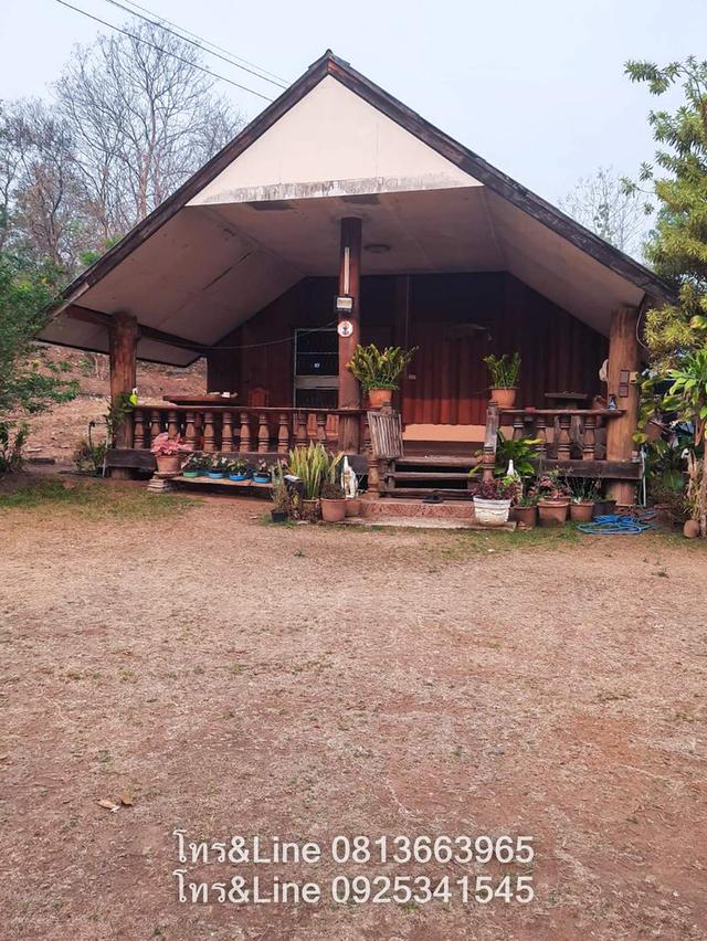 บ้านพร้อมที่ดิน อ.ปาย จ.แม่ฮ่องสอน 10