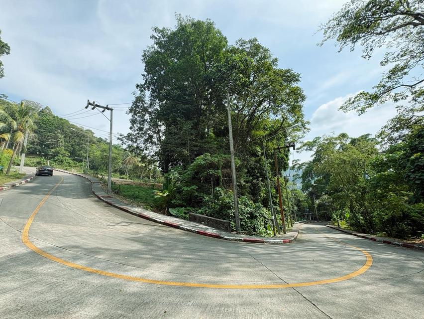 ขายที่ดินซีวิวหาดป่าตอง รูปที่ 8