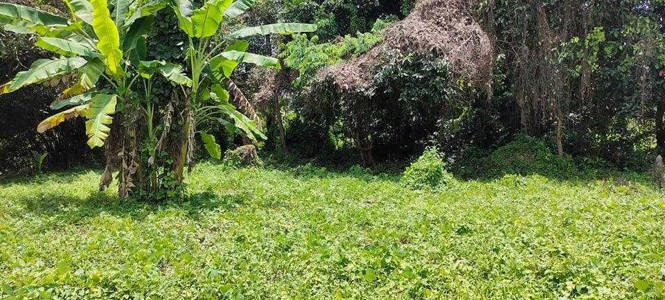 ที่ดินพร้อมบ้าน 2025 3