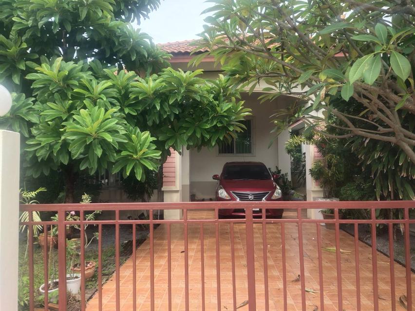 ขายบ้านเดี่ยวชั้นเดียวราคาถูกมาก ด่วนๆๆๆ เจ้าของขายเอง 3,500,000 บาท ราคาต่อรองได้ 1