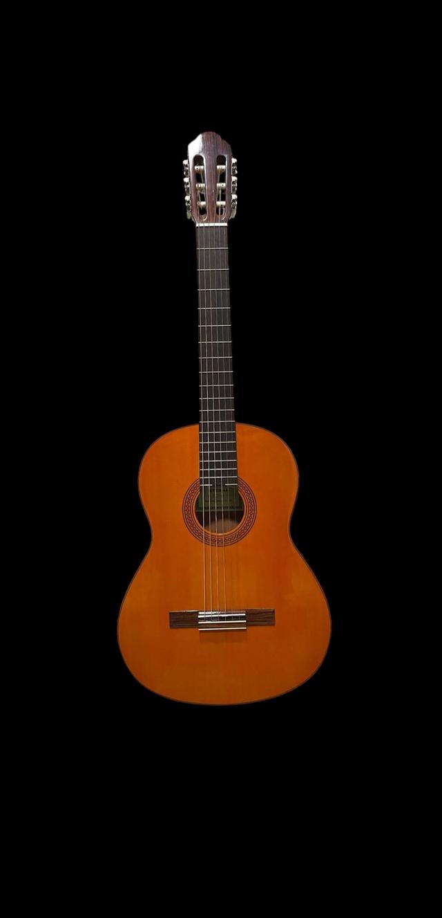 กีตาร์โปร่ง Yamaha EC-18 