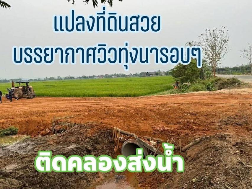 ที่ดิน 3 ไร่อำเภอแม่จันจังหวัดเชียงราย 4