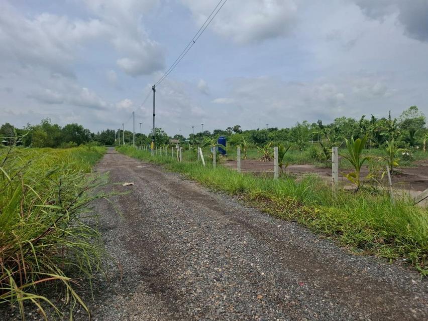 ขายที่ดินคลอง 11ซอยปลายนาร่วมฤดี 1 ใกล้วัดป่าคลอง1 หนองเสือ ปทุมธานี