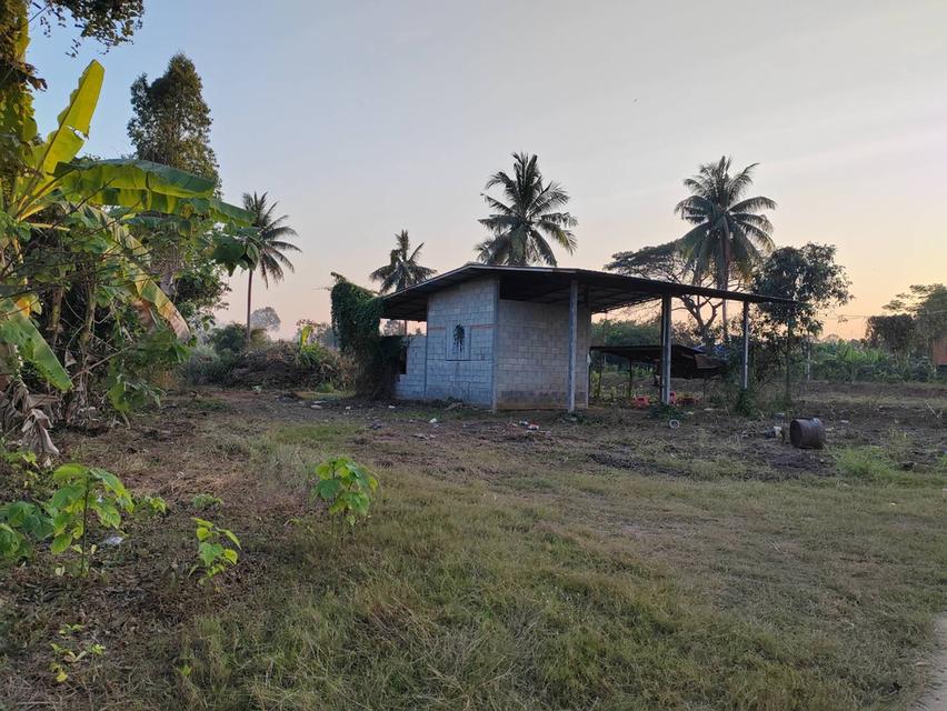 ขายที่ดินหน้ากว้าง รูปทรงชายธง ทำเลดีมาก – ต.ย่านยาว อ.เมือง จ.พิจิตร 5