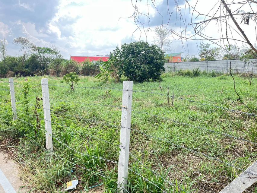 ขายที่ดินแปลงสวย ทำเลดี 2