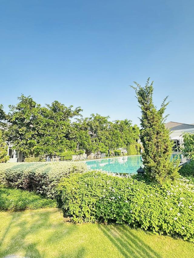 ให้เช่าบ้านแฝด 2 ชั้น Golden Neo Sukhumvit-Lasalle สุขุมวิท 113 5