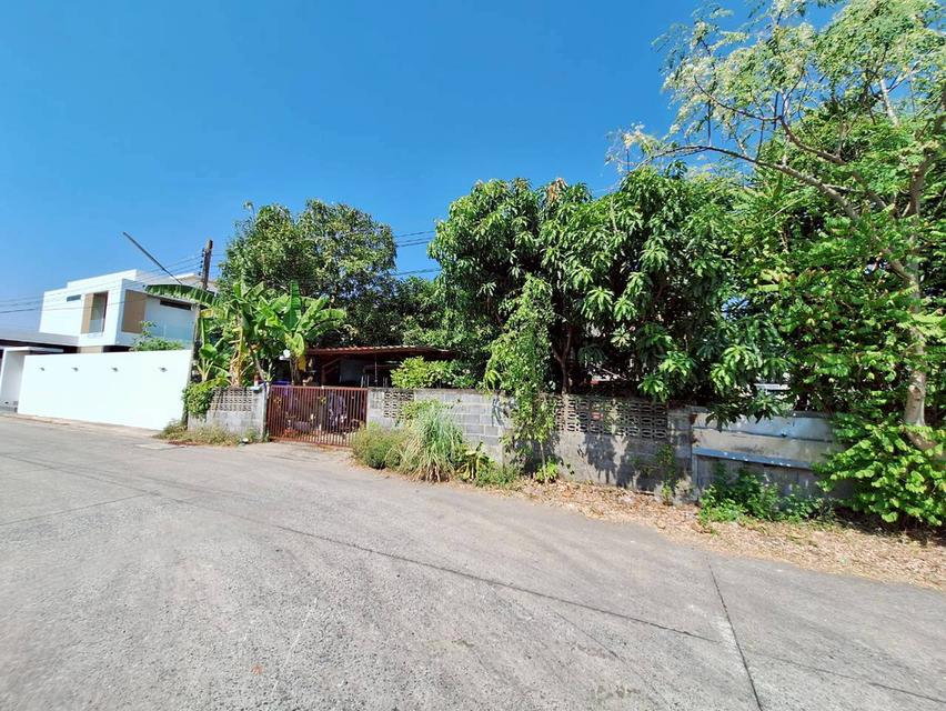 ที่ดินพร้อมสิ่งปลูกสร้าง ซอยไสวประชาราษฎร์ 33 (ร่วมสุข8) ลำลูกกาคลอง 4 ถนนลำลูกกา ต.ลาดสวาย อ.ลำลูกกา จ.ปทุมธานี 3