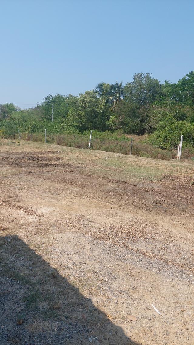 ที่ดินสองไร่พร้อมบ้านสวน 9