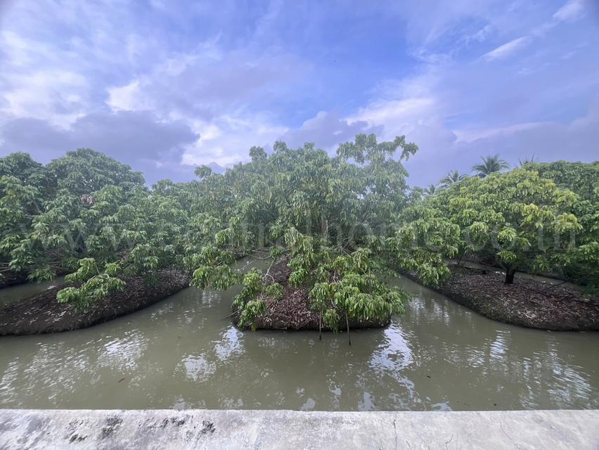 ที่ดิน พร้อมสิ่งปลูกสร้าง 9-3-60 ไร่ สามพราน นครปฐม 12