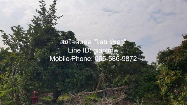 ขายที่ดินสวนลำไย ต.ขุนคง อ.หางดง จ.เชียงใหม่ (น.ส.4 จ) 2 ไร่, 2.5 ล้านบาท 4