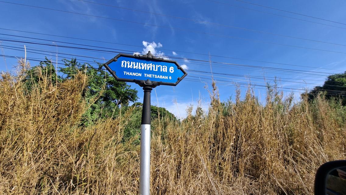 ที่นา 9 ไร่เศษ อ.บางเลน จ.นครปฐม ติดคลองบางภาษี มีน้ำทำนาได้ตลอดปี 13