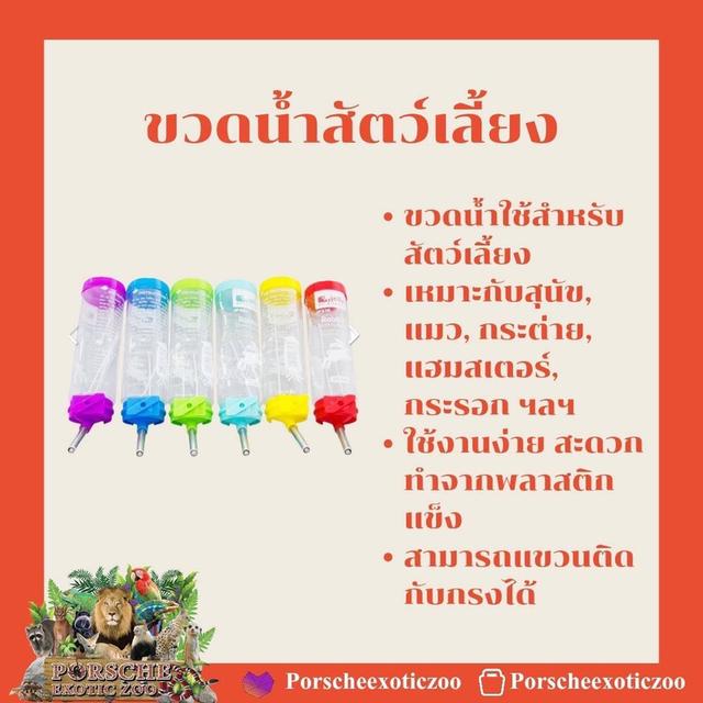 อาหารและอุปกรณ์สัตว์เลี้ยง 11