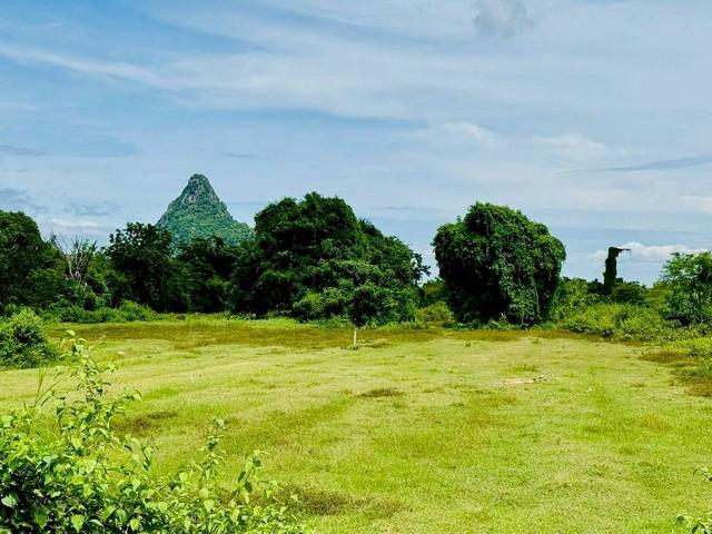 ขายที่ดิน 1-3-99.6 ไร่อยู่ใกล้นิคมสหกรณ์ท่ายาง พื้นที่สีม่วง ต.หนองชุมพล อ.เขาย้อย จ.เพชรบุรี 8