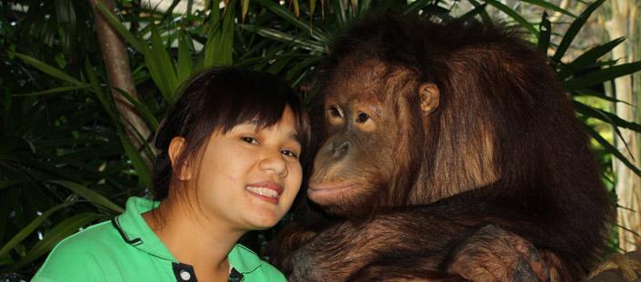 บริการก่อสร้างสวนสัตว์และพื้นปลอดภัย เพื่อทุกการเล่น รูปที่ 13