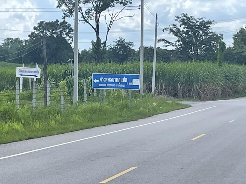 ที่ดินติดถนน เส้นบ้านไทรงามมุ่งหน้าอำเภอคอนสวรรค์ ที่ดินอยู่ในเขตอำเภอเมืองชัยภูมิ โทร 0939694146 5