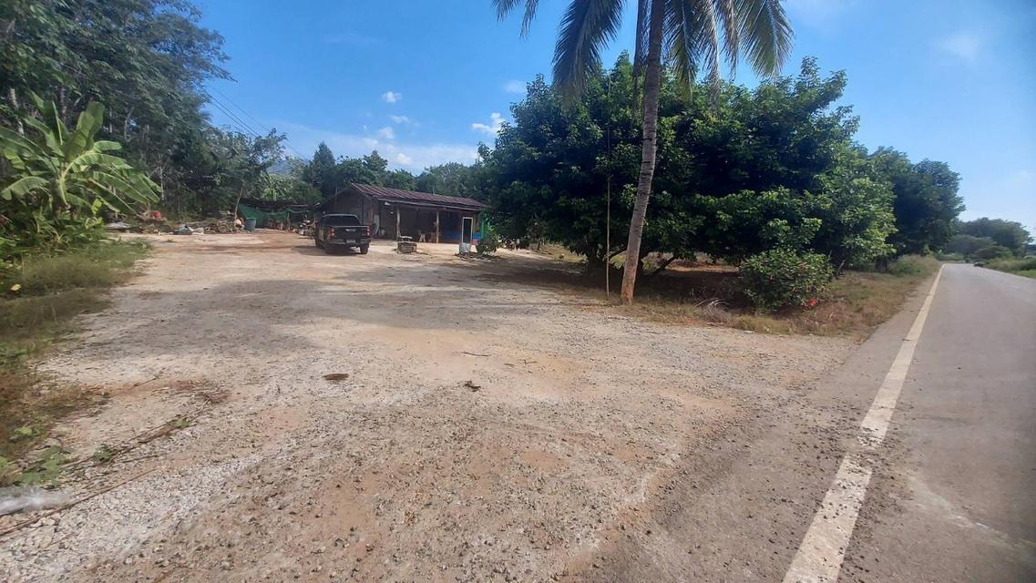 ที่ดินพร้อมบ้าน อ ไทรโยค กาญจนบุรี พร้อมต้นทุเรียน วิวภูเขา 1