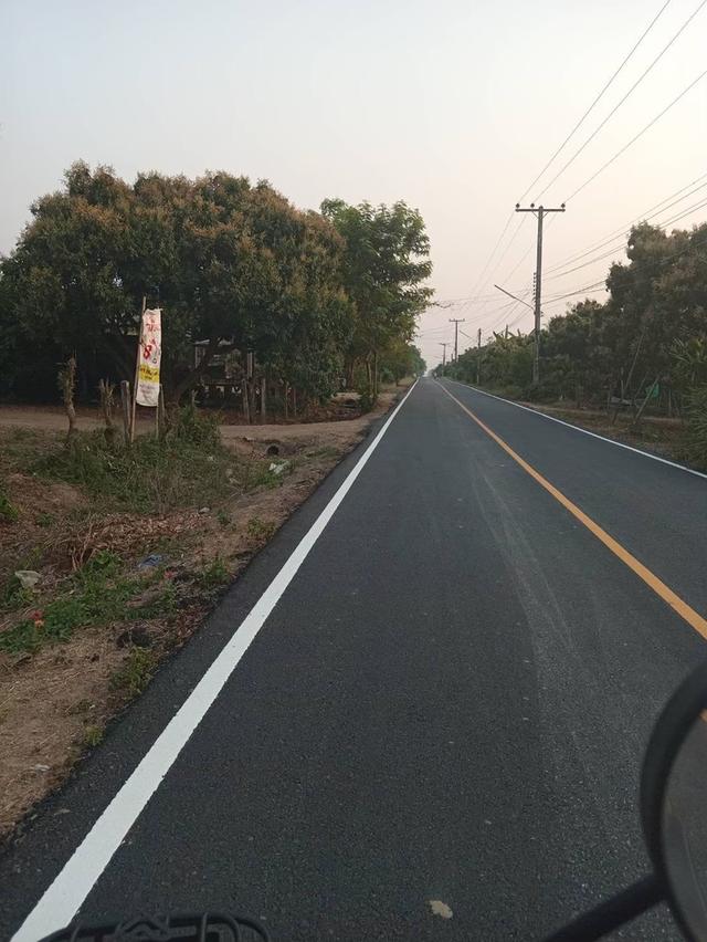 ที่ดินสวนลำไย