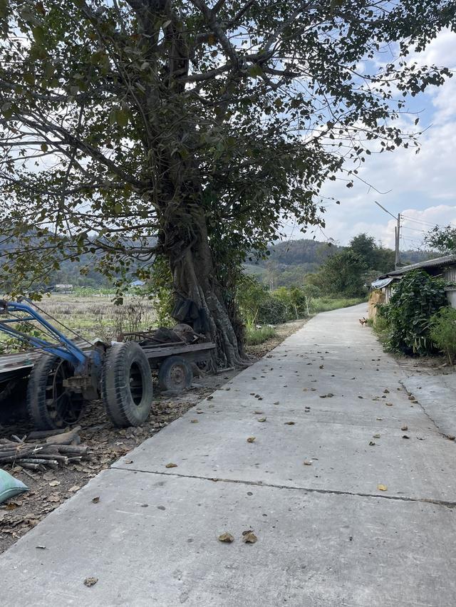 ที่ดินเชียงราย 5 ไร่ 4